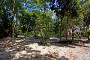 RESIDENTIAL LOT