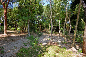 RESIDENTIAL LOT