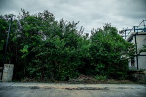 RESIDENTIAL LOT IN GATED COMMUNITY