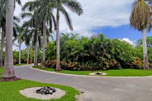 Only Beachfront Lot in Rosewood Mayakoba | A Truly Rare Offering