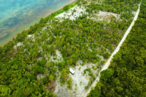 Viridiana Reserve: Macro-lot in a Prime Location