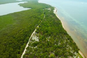 Viridiana Reserve: Macro-lot in a Prime Location