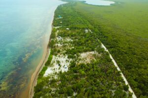 Viridiana Reserve: Macro-lot in a Prime Location