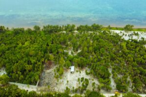 Viridiana Reserve: Macro-lot in a Prime Location