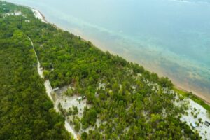 Viridiana Reserve: Macro-lot in a Prime Location