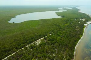 Viridiana Reserve: Macro-lot in a Prime Location