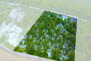 Viridiana Reserve: Macro-lot in a Prime Location