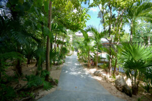 SELVA ZEN PENTHOUSE WITH PRIVATE JACUZZI
