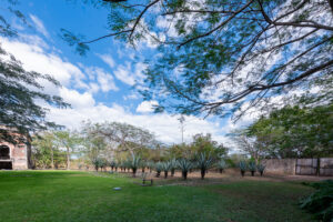 HACIENDA SERENITY OASIS RETREAT IN YUCATAN