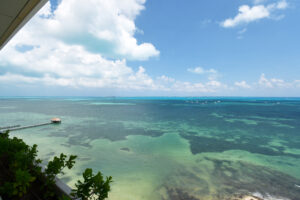 PRIVATE RESIDENCE OCEANFRONT OF CARIBBEAN SEA – TOTAL ELEGANCE IN EVERY DETAIL