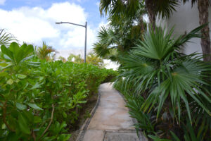 BEACHFRONT PARADISE PH