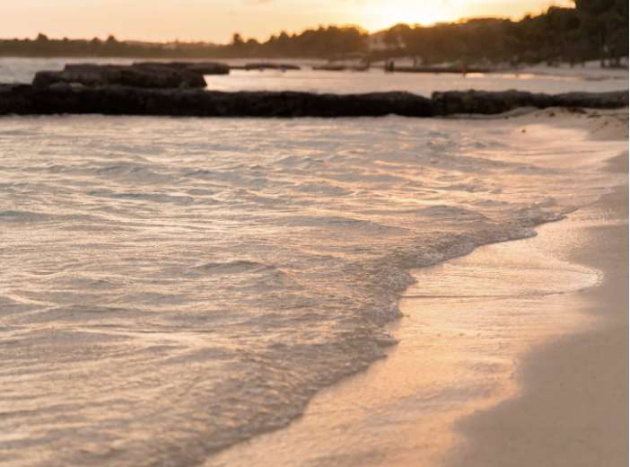Redefining paradise: Why choose to live in Tulum?