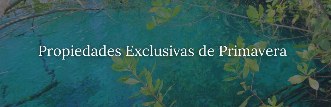 Propiedades Exclusivas de Primavera