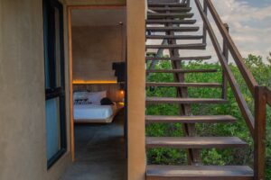 The Canopy | Contemporary Living