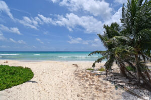 Beachfront Paradise