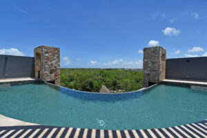 Black Essence of Contemporary Luxury