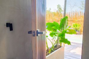 The Twin Canopy Estate | Private Sanctuary in Holbox