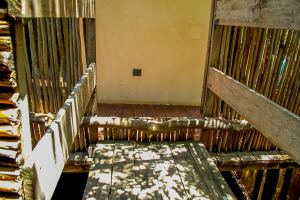 The Twin Canopy Estate | Private Sanctuary in Holbox