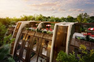 Grand Jungle Duplex