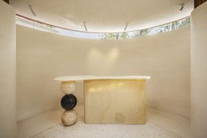 Design Jungle Suite