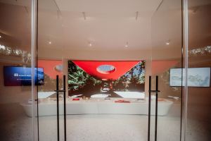 Design Jungle Suite