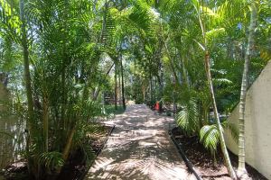 Luxury Residence Jungle Experience