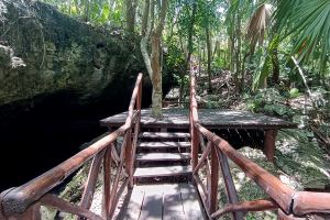 Luxury Residence Jungle Experience