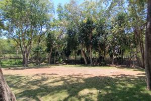 Luxury Residence Jungle Experience