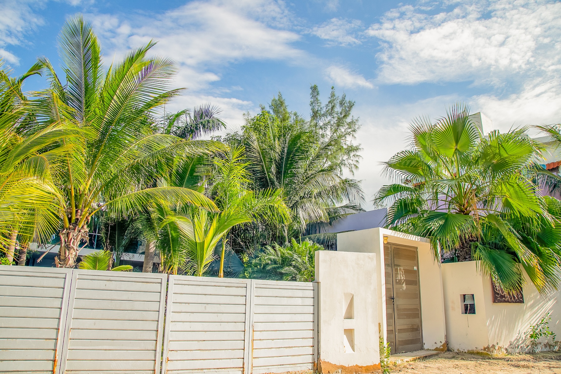 Tropical Living with Contemporary Design in Holbox Island