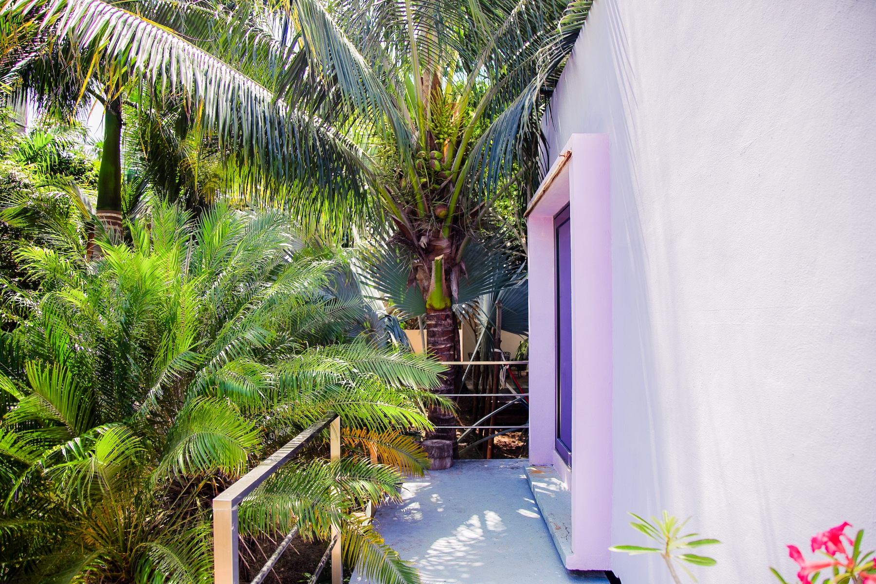 Tropical Living with Contemporary Design in Holbox Island