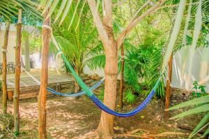 Tropical Living with Contemporary Design in Holbox Island