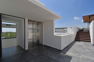 Quinto Sol | Pure Essential Light in Aldea Zama