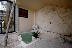 Jungle Essence Luxury Villa