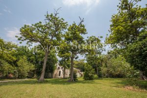 Finca Mercedes Tetecala Morelos