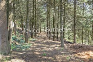 Rancho El Zorrillo