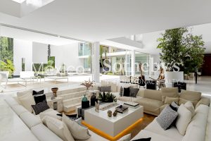 Cedros Aragones