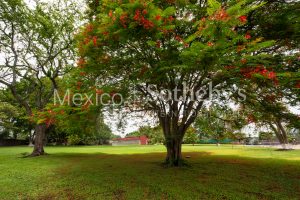 Finca Chamilpa