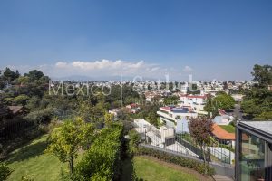 Privada de Olmos, Bosque de las Lomas