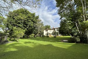 Casa Bugambilia Tepoztlan