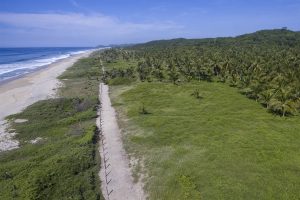 Roca Ahumada