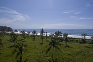 Roca Ahumada