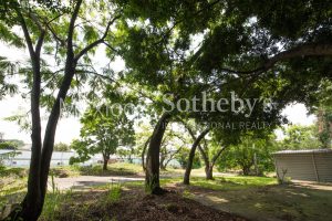 Terreno San Juan