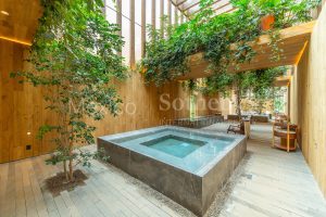 Lote 41 Fase III en Mazaua Valle de Bravo.