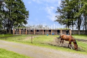 Rancho Encuestre Tenango del Valle