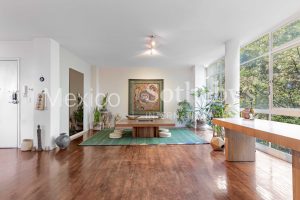 Amsterdam 122, Piso 4