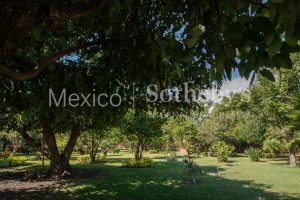 Quinta Sofía Ticuman