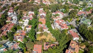 Terreno Bosque de Framboyanes