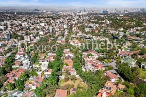 Terreno Bosque de Framboyanes
