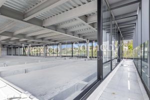 Versalles II