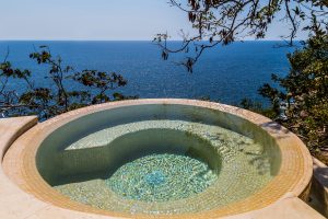 Los Agaves Banyan Tree